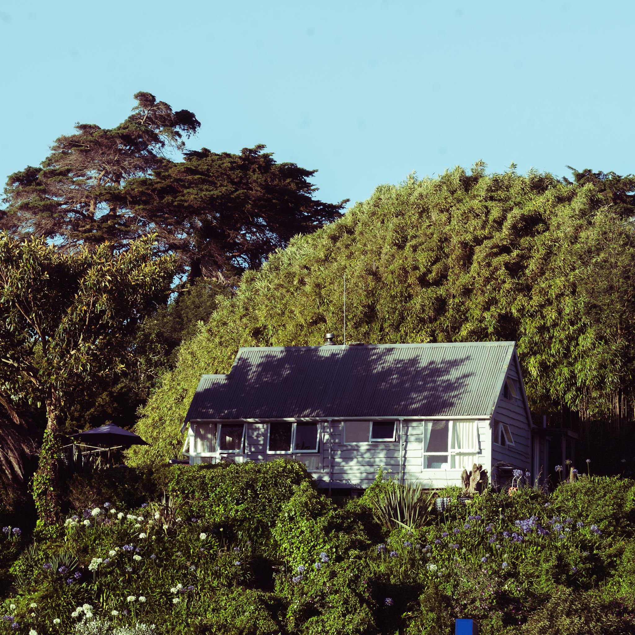 Peaceful rural cottage nestled amid dense greenery, perfect for tranquil retreats.
